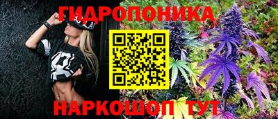 каннабис Баксан